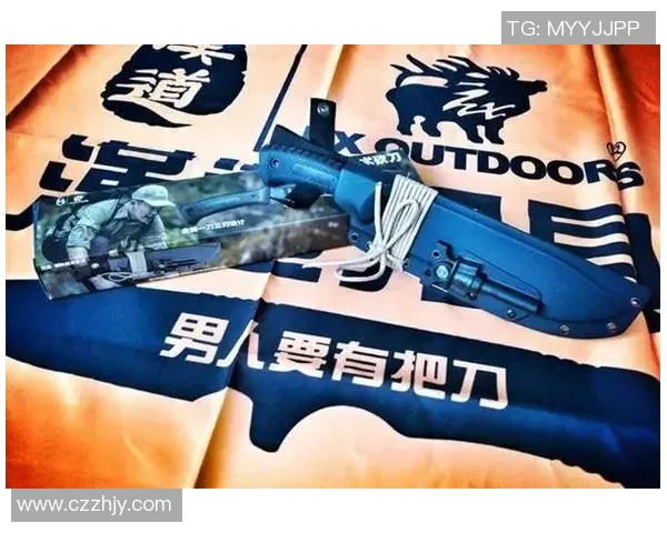 杭州羽毛球队进攻革新之路：技术提升与战术创新的深度解析