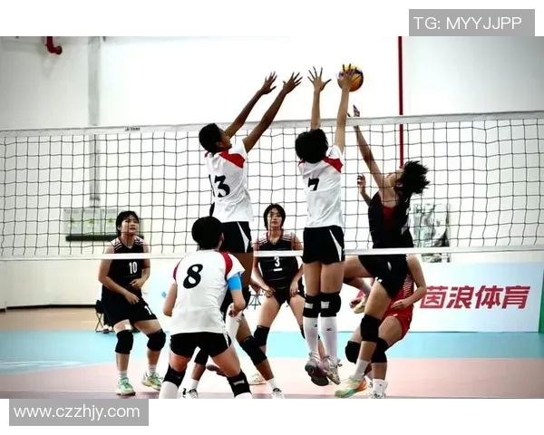 热议排球：上海排球队战术变革引发的战斗精神与团队协作新思考