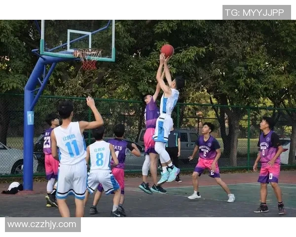 赵强篮球生涯回顾与展望对话分享运动精神与成长故事