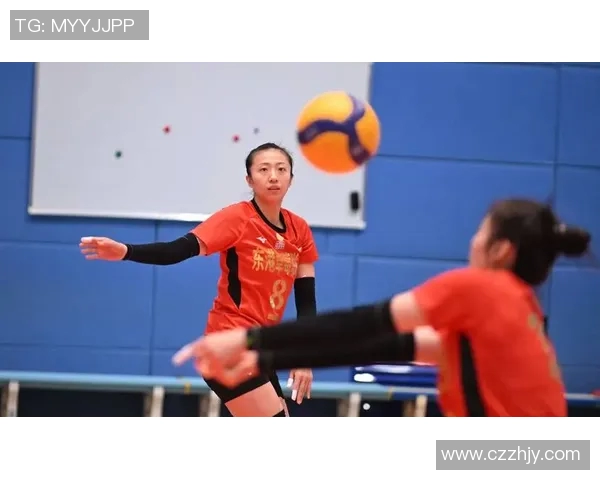 深圳排球队最新排球耐力排行榜夺冠其他队伍紧随其后争夺佳绩